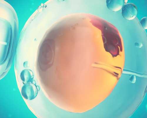 上海世纪助孕招聘_上海世纪助孕多少钱,重庆包成功助孕服务 重庆哪里可以做试