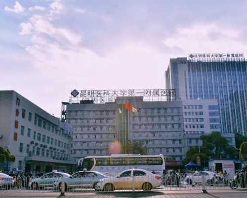 试管婴儿的检查包括尿蛋白吗