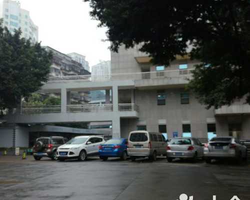 发现卵巢早衰怎么办？~助孕公司价格