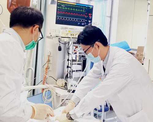 哈尔滨先天性子宫肌瘤三代试管婴儿费用？