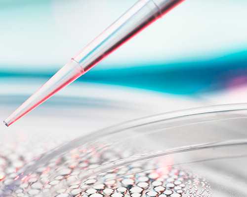 世纪助孕包性别_上海世纪助孕在哪里,有没有温州代怀的 温州中山医院试管婴儿