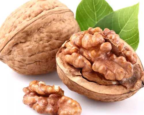 广西试管婴儿靠谱的详细介绍