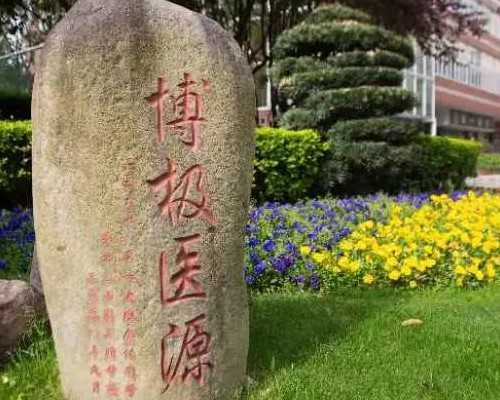 2024哈尔滨试管婴儿医院排名，附成功率及费用介绍