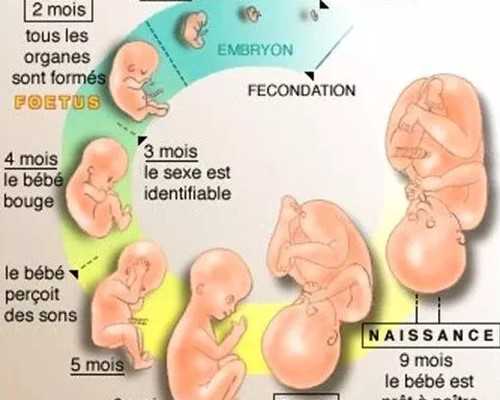 做试管婴儿吃药发胖是药的副作用吗？-孕妇梦见手表生男生女-试管移植后可以