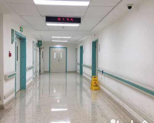 什么食物含叶酸备孕期这样吃补充叶酸~助孕公司咨询