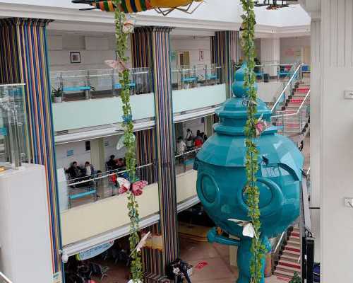 卵巢囊肿的诊断(卵巢癌一般能活多少年)~助孕公司官网