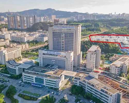 上海世纪助孕官网_上海世纪助孕多少钱优贝贝助孕名医,重庆捐卵一次价格 重庆