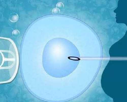 哈尔滨第三代试管婴儿包生男孩价格？附费用明细？