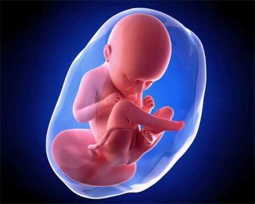 呼和浩特代孕生子多少钱_呼和浩特国内代孕需求_怀孕多久可以感到胎动