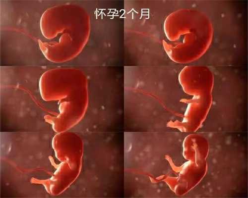 呼和浩特代孕产子靠谱吗_呼和浩特试管婴儿和代孕母亲_钳产是顺产吗