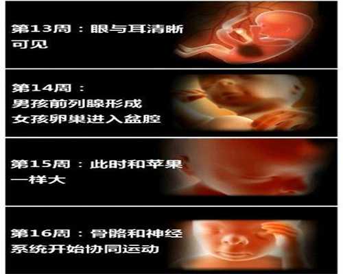 呼和浩特代孕孩子多少钱_呼和浩特中国首家代孕网_孕早期可以吃杨桃吗
