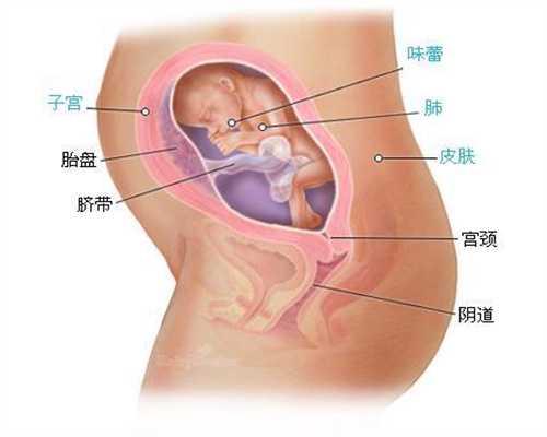 黑龙江合法的代孕产子多少钱_怀孕初期腰骶酸痛多久怎么办