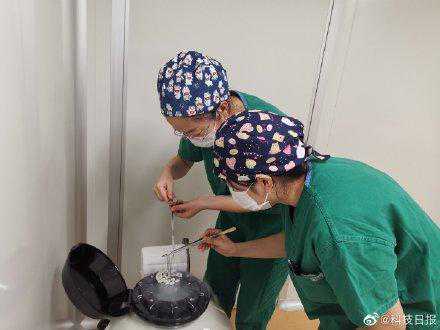 哈尔滨供卵试管代孕哪里做_内蒙古首例冻融卵母细胞试管婴儿成功受孕